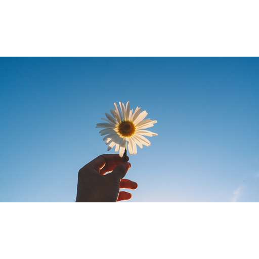 Profile Pic