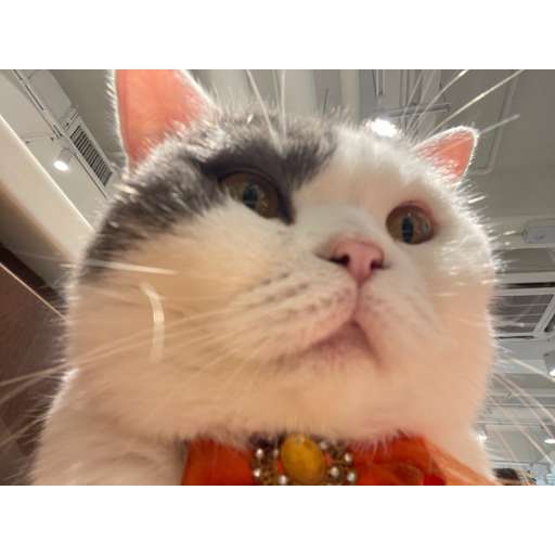 Profile Pic